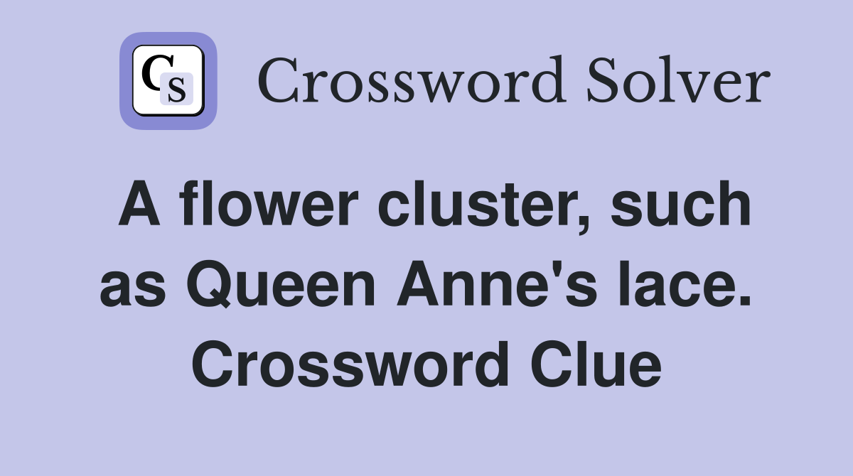 A flower cluster, such as Queen Anne's lace. Crossword Clue Answers
